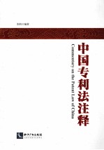 中国专利法注释