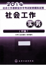 2014社会工作者职业水平考试配套模拟试卷 社会工作实务 中级