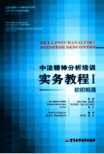 中法精神分析培训实务教程 1 初初相遇