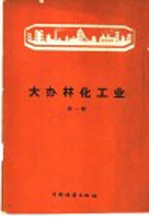 大办林化工业 第1辑