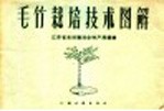 毛竹栽培技术图解