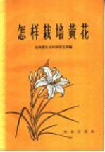 怎样栽培黄花