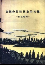 发展合作社林业的关键 林业规划