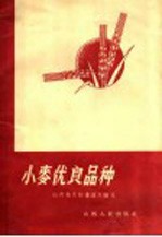 小麦优良品种