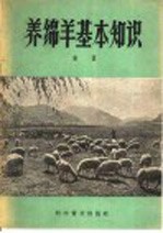 养绵羊基本知识