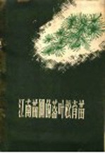 江南苗圃的落叶松育苗