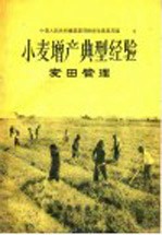 小麦增产典型经验 麦田管理
