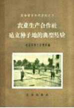 农业生产合作社建立种子地的典型经验