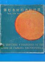银杉木材构造和性质