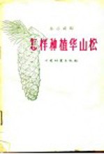 怎样种植华山松