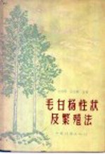 毛白杨性状及繁殖法