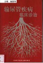 输尿管疾病临床诊治