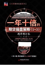 一年十倍的期货操盘策略 1-3 精华修订本