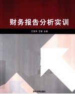财务报告分析实训