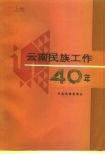 云南民族工作四十年 上