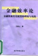 金融效率论 金融资源优化配置的理论与实践