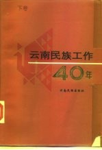 云南民族工作四十年 下