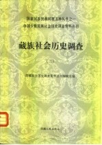 藏族社会历史调查 3