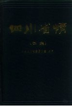 四川省情 续集