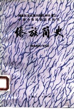傣族简史