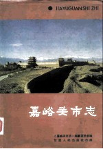 嘉峪关市志
