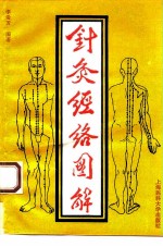 针灸经络图解