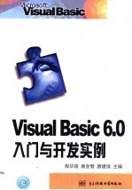 Visual Basic 6.0入门与开发实例