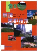 草坪养护技术