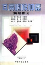 耳鼻咽喉肿瘤 病理部分
