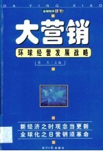 大营销 环球经营发展战略