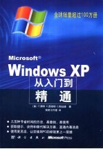 Microsoft Windows XP从入门到精通