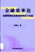 金融效率论 金融资源优化配置的理论与实践
