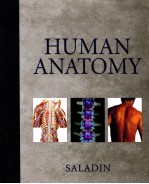 HUMAN ANATOMY