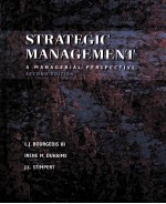 STRATEGIC MANAGEMENT A MANAGERIAL PERSPECTIVE SECOND EDITION