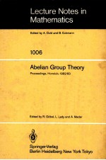 ABELIAN GROUP THEORY