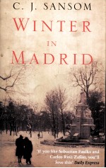WINTER IN MADRID