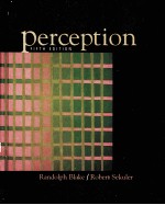 PERCEPTION FIFTH EDITION