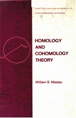 HOMOLOGY AND COHOMOLOGY THEORY:AN APROACH BASED ON ALEXANDER-SPANIER COCHAINS