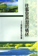 往事里淋湿的情怀 鸿颖散文诗集