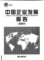 中国企业发展报告 2007
