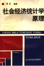 社会经济统计学原理