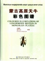 蒙古高原天牛彩色图谱