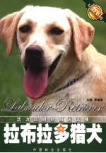 拉布拉多猎犬