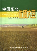 中国东北优质大豆
