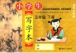 小学生写字本 五年级 下 适用苏教版
