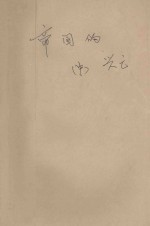 帝国的兴亡 中