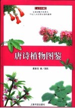 唐诗植物图鉴