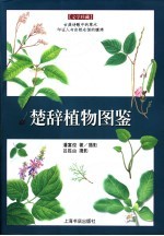 楚辞植物图鉴