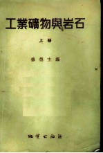 工业矿物与岩石 上