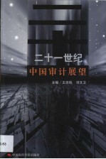 二十一世纪中国审计展望